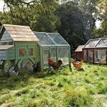 Williams-Sonoma Agrarian Line