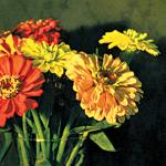 Miranda Lichtenstein flowers