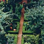 nigel slater garden