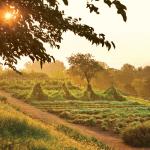 monticello_001.jpg