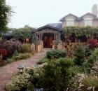 My Garden Petaluma CA winter