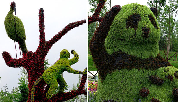 Topiary bird Bird topiary