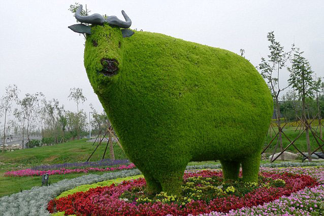 Topiary cow Topiary cow
