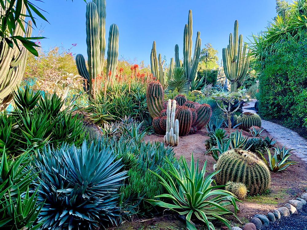 Marrakesh Gardens - Self-Guided Day Trip