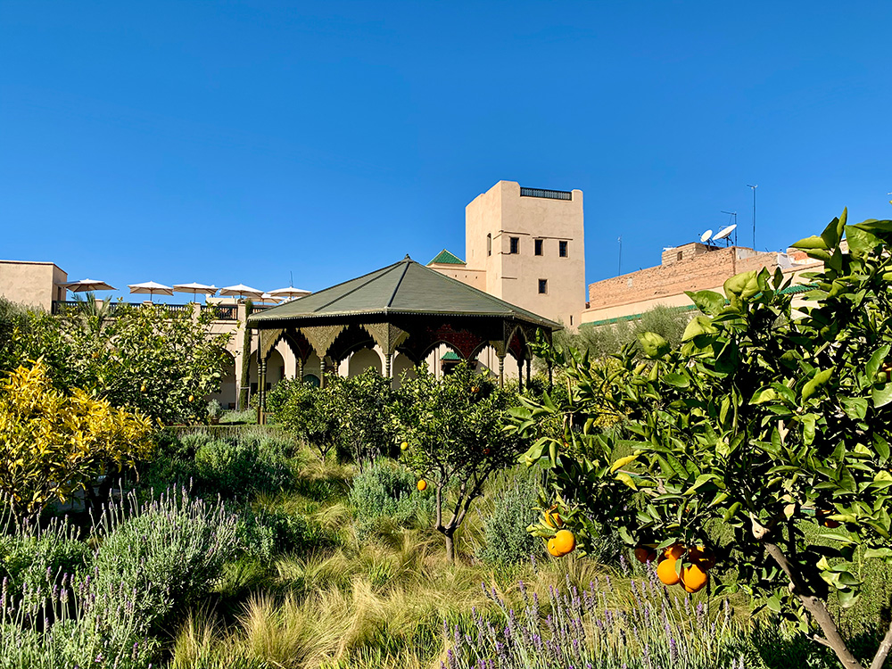 Marrakesh Gardens - Self-Guided Day Trip