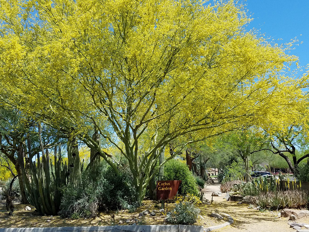 Phoenix Gardens Self Guided Day Trip, Phoenix Desert Landscaping Ideas