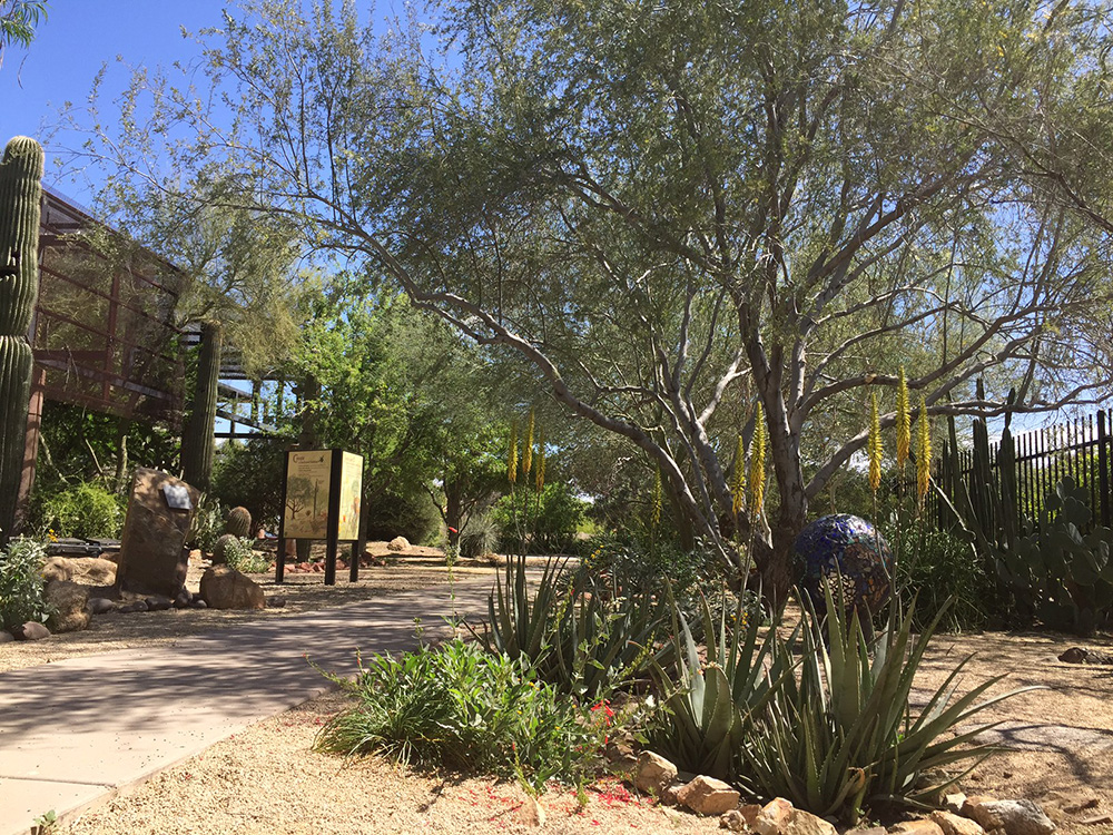 Phoenix Gardens Self Guided Day Trip, Desert Landscaping Ideas Phoenix Arizona