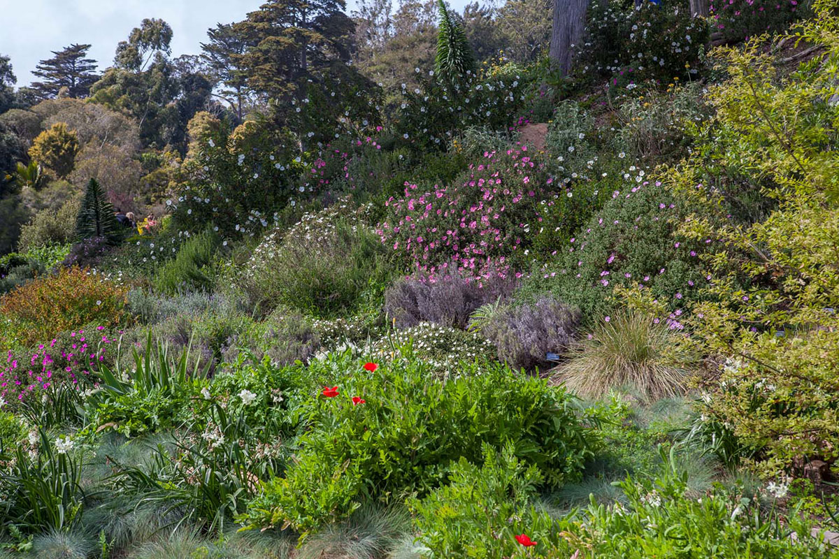 Beautiful San Francisco Gardens Self Guided Day Trip Garden Design