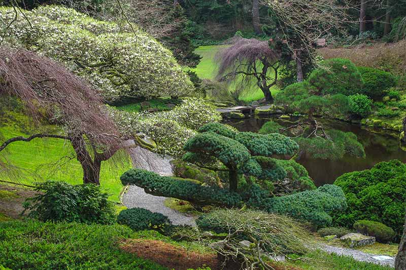 Backlit water Vivian Creek