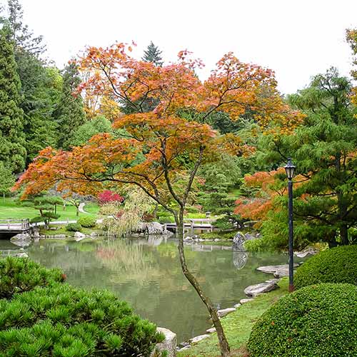 San Bernardino Peak trail