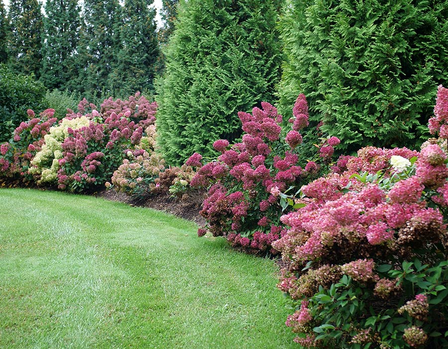 Spring Meadows nursery