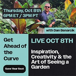 Dan Benarcik
Garden Design
Calimesa, CA