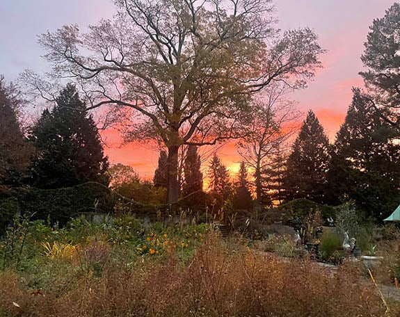 A Walk Through Chanticleer: Inspiration, Creativity & the Art of Seeing a Garden - Dan Benarcik