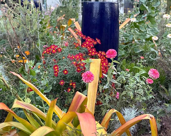 A Walk Through Chanticleer: Inspiration, Creativity & the Art of Seeing a Garden - Dan Benarcik