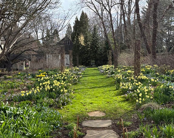 A Walk Through Chanticleer: Inspiration, Creativity & the Art of Seeing a Garden - Dan Benarcik