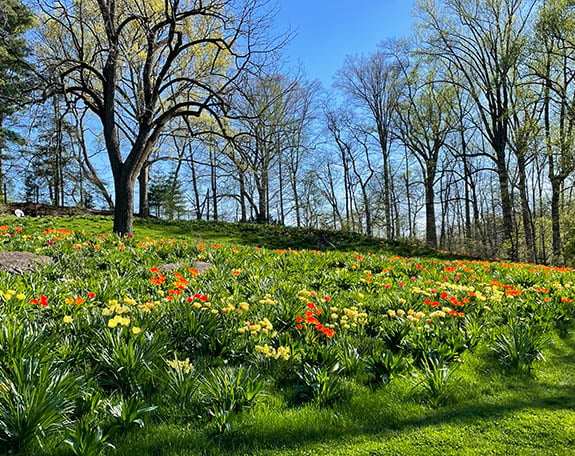 A Walk Through Chanticleer: Inspiration, Creativity & the Art of Seeing a Garden - Dan Benarcik