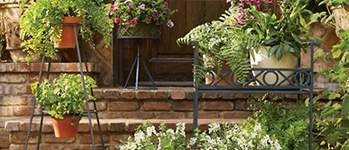 Long Lasting Container Flowers | Garden Design