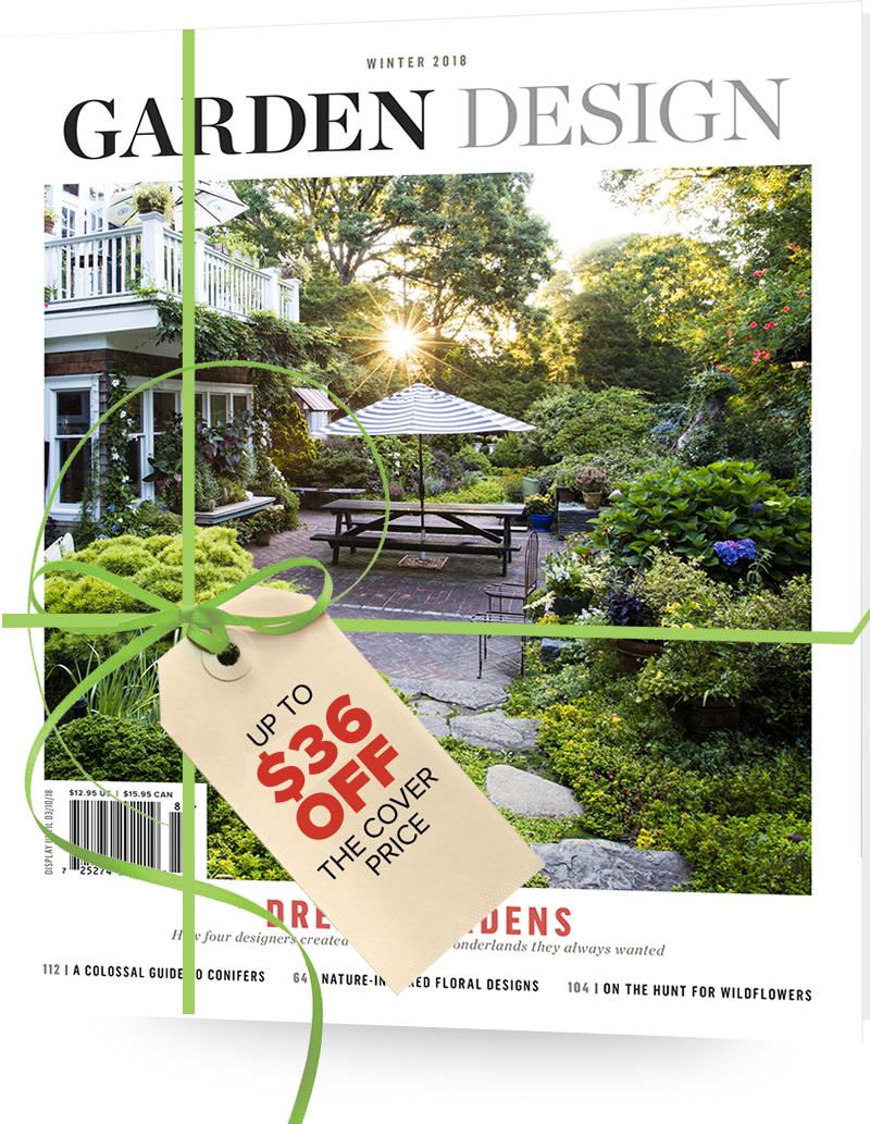Garden Plants Garden Design