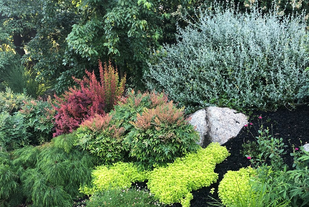 Foliage garden discount