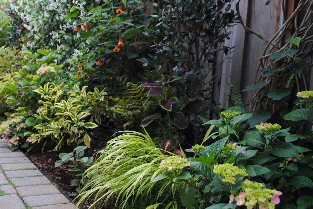 Foliage Garden Designing With Foliage Over Flowers Garden Design