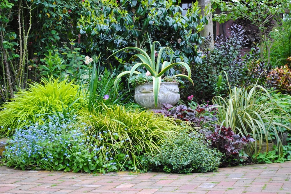 coffin plant Pandanus Traditional Wicker Coffin main image 0