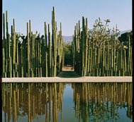 Jardin Etnobotanico de Oaxaca
,