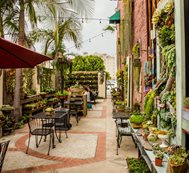 Succulent Cafe (Peter Loyola)
Oceanside, CA
