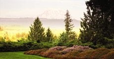 Thrill of the Chases: Photo Gallery
Garden Design
Calimesa, CA