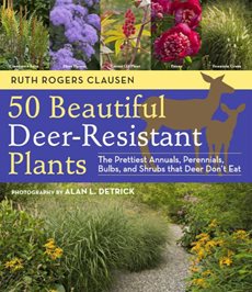 50 Beautiful Deer-Resistant Plants