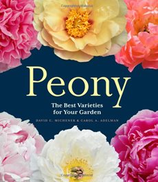 Peony