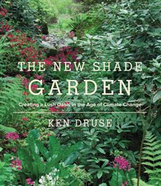 The New Shade Garden