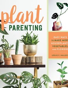 Plant Parenting