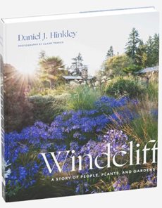Windcliff