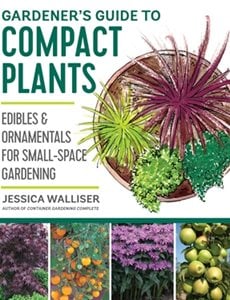 Gardener's Guide to Compact Plants