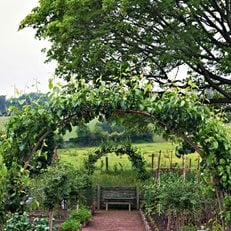 Edible Garden Pictures
Arne Maynard
London, England