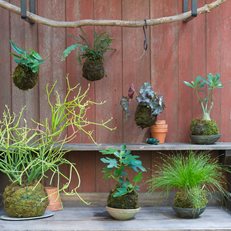 59 Diy Landscaping Ideas And Tips To Improve Your Outdoor Space Curbly