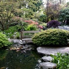 Garden, Spring
Robin Hopper (Homeowner)
Metchosin, British Columbia