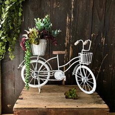 Vintage Bicycle Planter
Carolynn Dilbeck
Calimesa, CA