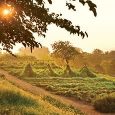 Thomas Jefferson's Monticello, Photo Gallery 
Monticello
Charlottesville, VA