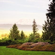 Garden Design Photos Gallery garden pictures | garden design Garden Design Photos Gallery garden pictures | garden design