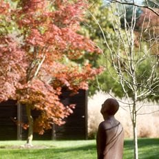 The Art of Autumn
Lisa Roth - Landscape Architect
Devon, PA