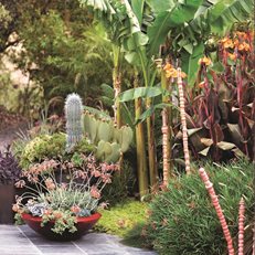 California Dreaming: a Davis Dalbok garden
Living Green Design
San Francisco, CA