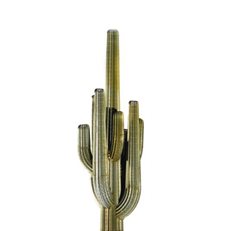 Cactus Sculpture
Garden Design
Calimesa, CA