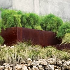 A Tiered Garden in Austin, Texas, Slide Show
LandWest Design Group
Austin, TX