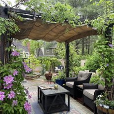 Patio Pergola With Vines
Alli Guleria
Washington D.C.,