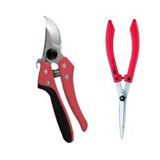 Pruning Shears, Hedge Shears, Gardening Tools
Garden Design
Calimesa, CA