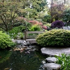 Garden, Spring
Robin Hopper (Homeowner)
Metchosin, British Columbia