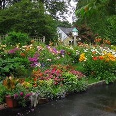 Color in Massachusetts
Garden Design
Calimesa, CA