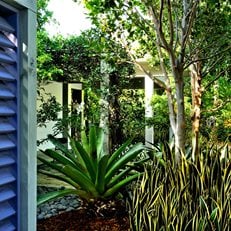 Subtropical Modernism: Lively Landscapes in the Florida Keys
Garden Design
Calimesa, CA