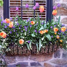 Window Baskets
Garden Design
Calimesa, CA